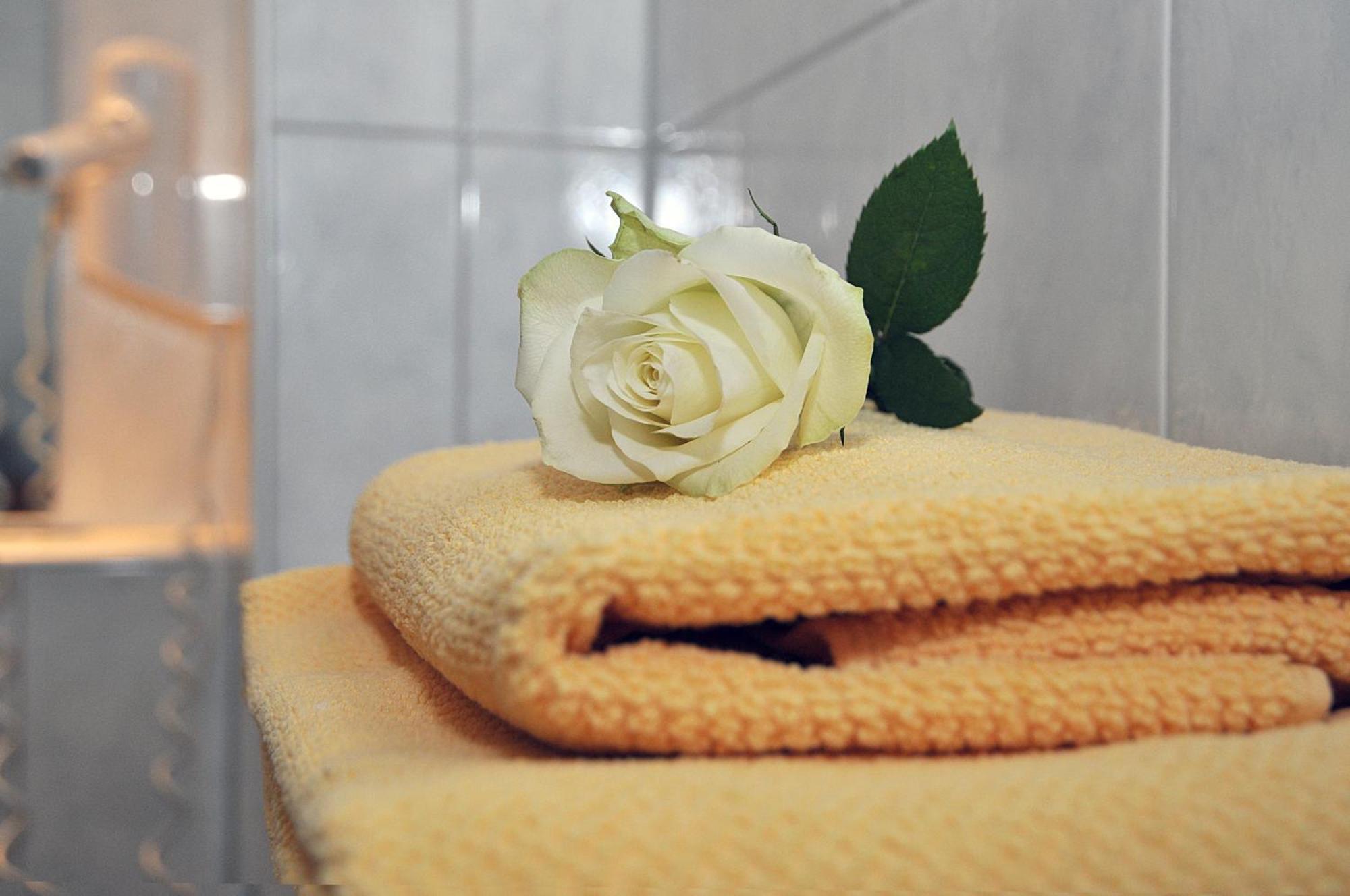 Hotel Friesen Werdau Екстериор снимка